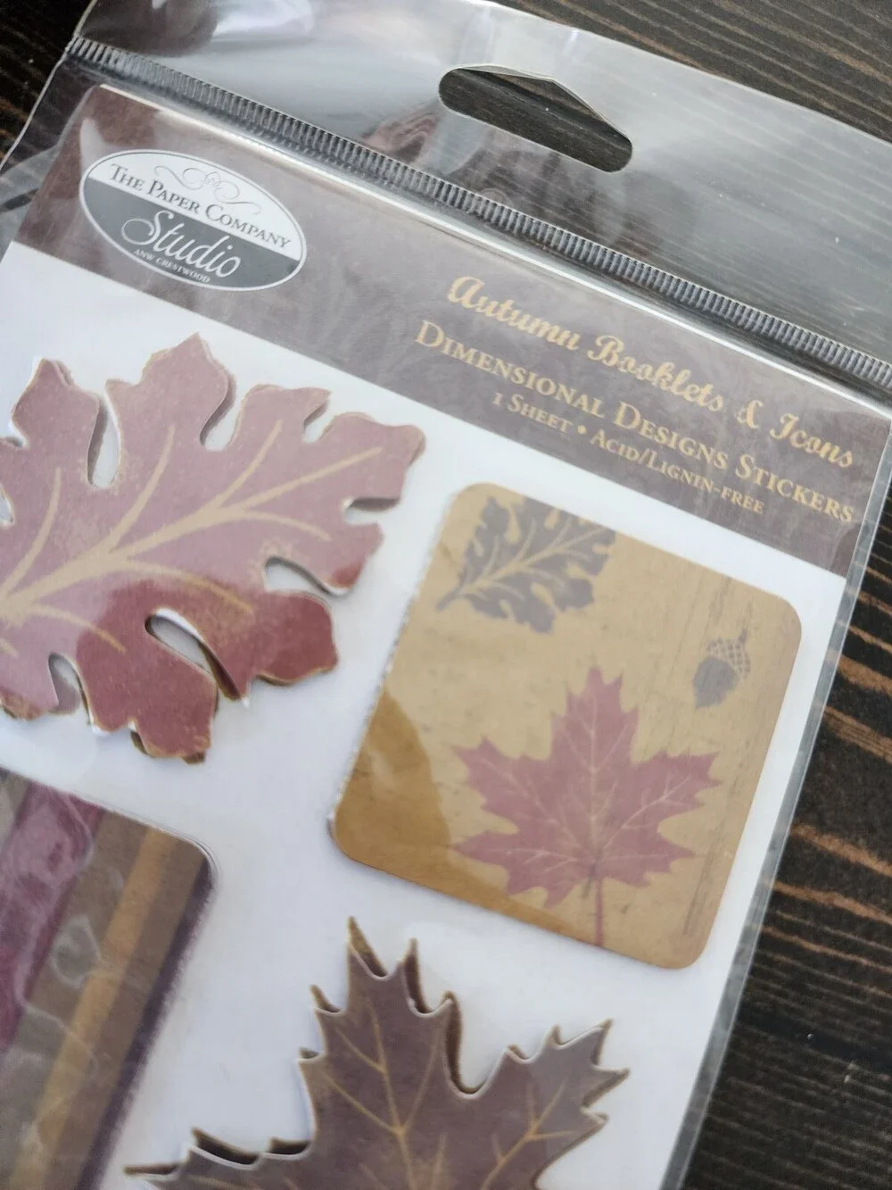 Scrapbooking Stickers - Fall 3D Jumbo Sheets - K&Co Lot New Retired #22